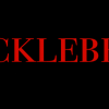 Huckleberry IT Solutions hyderabad logo